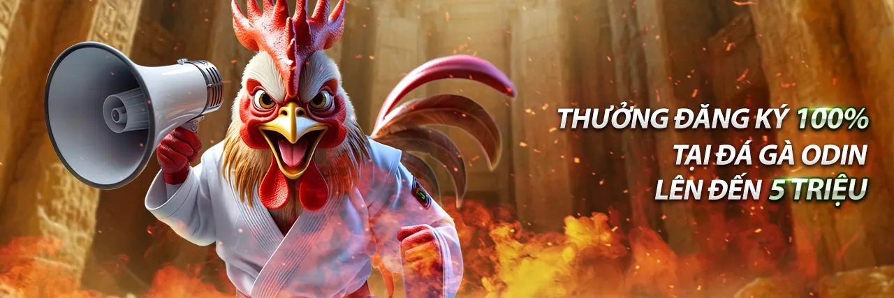 Hình ảnh đại diện cho Điều khoản Dịch vụ của web nhà cái uy tín, thể hiện sự chuyên nghiệp và minh bạch.